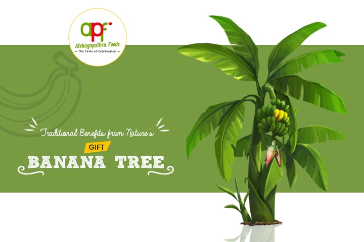 Banana-Tree-Benefits.jpg
