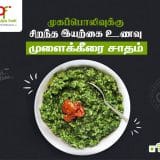 PURE VEG FOOD DELIVERY SERVICE