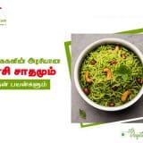 Benefits Of Basil Rice homemade food delivery madurai food delivery services