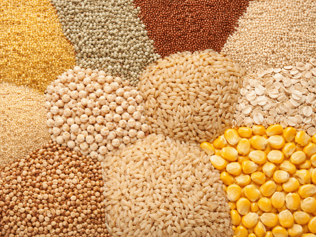 ChatGPT Image Feb 2 2026 03 46 42 PM